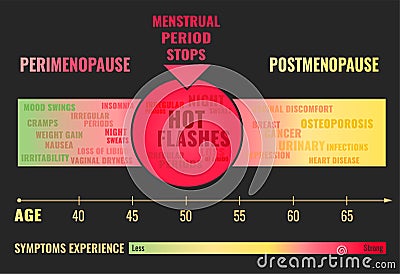 Stages of Menopause Infographic Vector Illustration