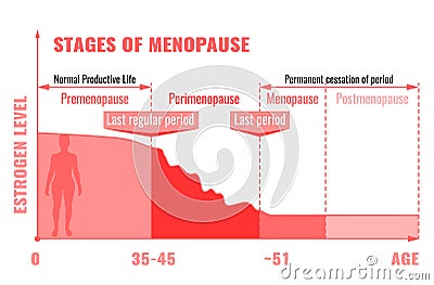 Stages of Menopause Infographic Vector Illustration