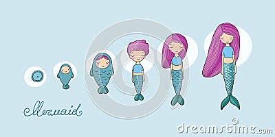 Stages of mermaid development. Beautiful siren. Vector Illustration