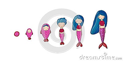 Stages of mermaid development. Beautiful siren. Vector Illustration