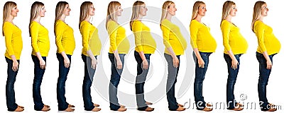 Stages of pregnancy Stock Photo