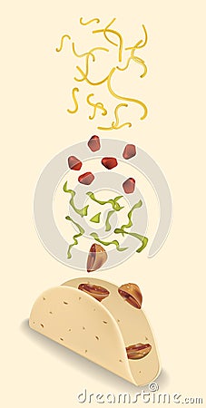 Stages of preparation Mexican taco Vector Illustration