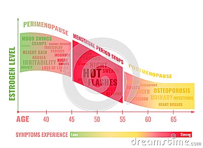 Stages of Menopause Infographic Vector Illustration
