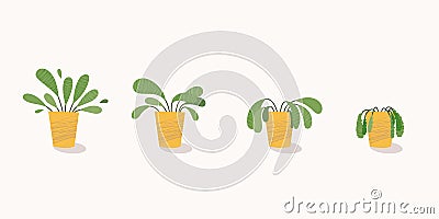 Stages of withering, a wilted plant in a pot, abandoned houseplant without watering and care. Potted plant dying. Vector Vector Illustration