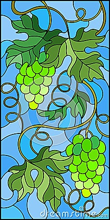 Stained glass illustration with a bunch of green grapes and leaves on blue background,vertical image Vector Illustration