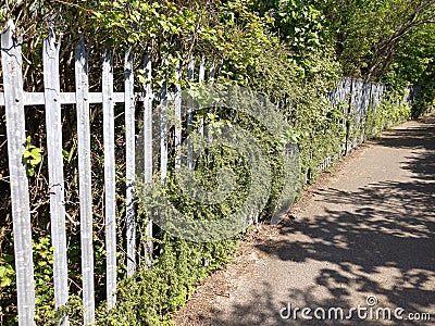 Spiked Stainless Steel Fence Slowly Being Overgrown Stock Photo