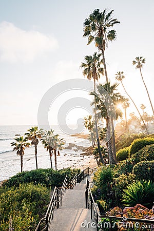 Staircase and palm trees at Heisler Park, in Laguna Beach, Orange County, California Stock Photo