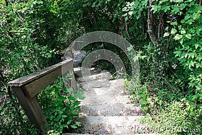 Stairs downstairs down in the green woods Stock Photo