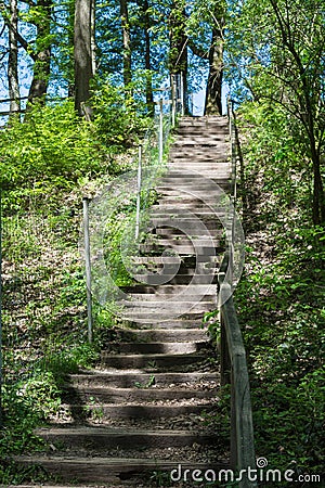 Stairs in the forest Stock Photo