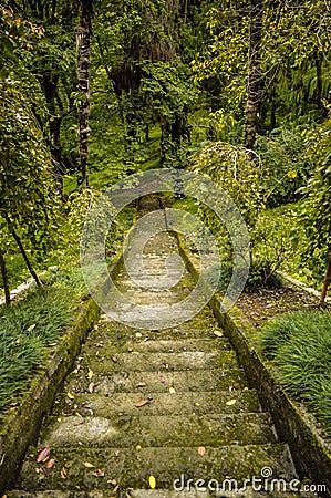 Stairs going down Stock Photo