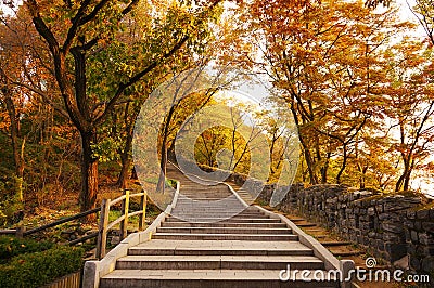 Stairs going uphill in autumn Stock Photo