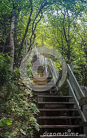 Stairs going in the woods Stock Photo