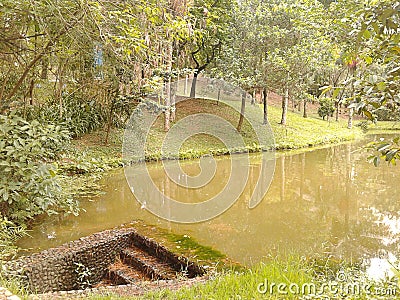 Stairs in Lake in Regional Park Santo Andre Sao Paulo Brazil. Stock Photo