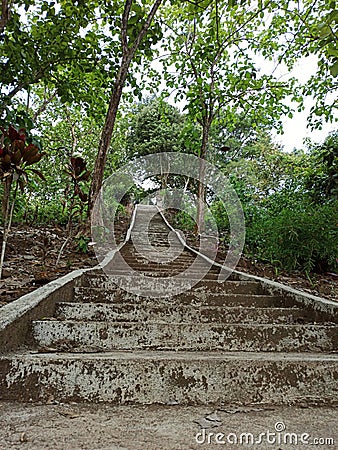 the stairs leading to the shrine in the middle of the forest Stock Photo