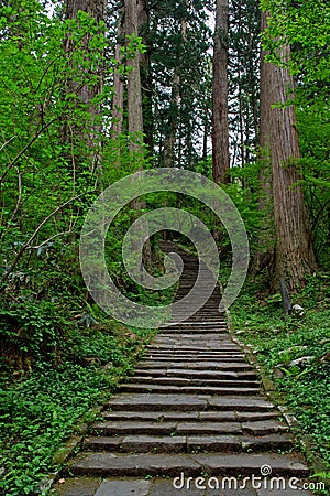 2446 stairs leading up Mount Haguro Stock Photo