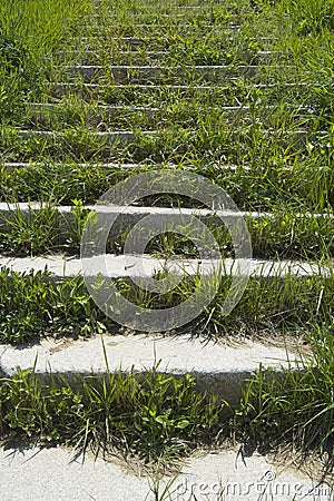 Stairs overgrown with grass Stock Photo