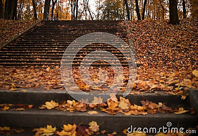 stairs park autumn day orange leaf bokeh background outdoor Stock Photo