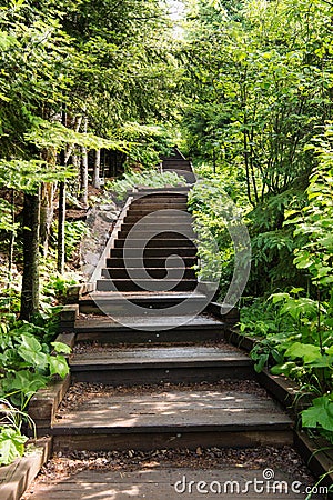 Stairs at Tettegouche State Park Stock Photo