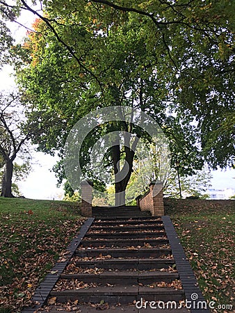 Stairs view with lots of leaves in the park, in fall Stock Photo