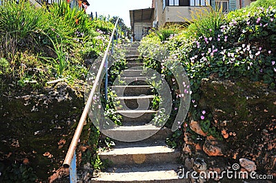 Stairs view with nice bushes and plants on the sides Stock Photo