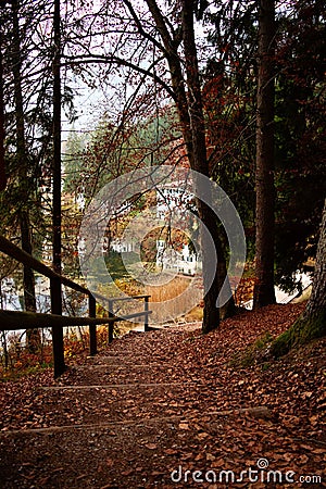 Stairs in the woods near lake during autumn season foliage no people trentino lake cei Stock Photo