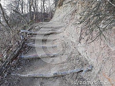 Stairs in the woods Stock Photo