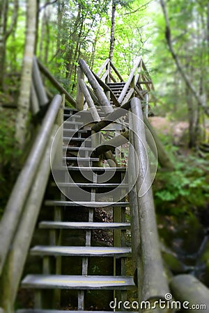 Stairs in the woods Stock Photo