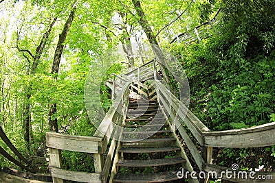 Stairway leading to the top of Amicalola Falls Stock Photo