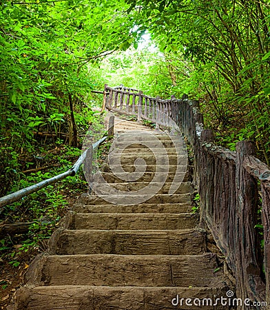 Stairway to forest Stock Photo