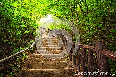 Stairway to forest, Kanchanburi,Thailand Stock Photo