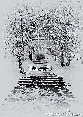 Stairway in winter Stock Photo