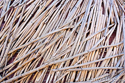 Stalks of dryed reeds with orange and black pattern. Stock Photo