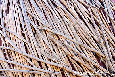 stalks of dryed reeds with orange and black pattern Stock Photo