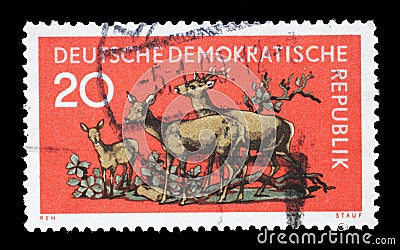 Stamp issued in Germany - Democratic Republic DDR shows Roe Deer Capreolus capreolus, Forrest Animals series Editorial Stock Photo