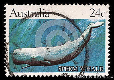 Stamp printed by Australia, shows Sperm whale Editorial Stock Photo