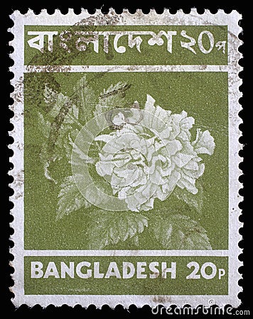 Stamp printed in Bangladesh shows flower Editorial Stock Photo