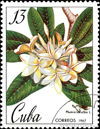 Stamp printed in Cuba shows image of a Plumieria alba, circa 1967 Editorial Stock Photo