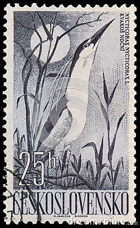 Stamp printed in the Czechoslovakia, shows a bird Black-crowned Night Heron Editorial Stock Photo