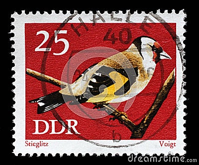 Stamp printed in GDR shows bird European goldfinch Editorial Stock Photo