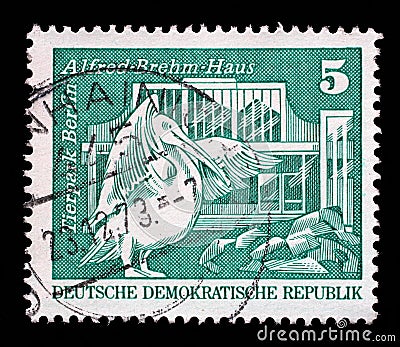 Stamp printed in Germany shows Eastern white pelican and Alfred Brehm House, Tierpark, Berlin Editorial Stock Photo