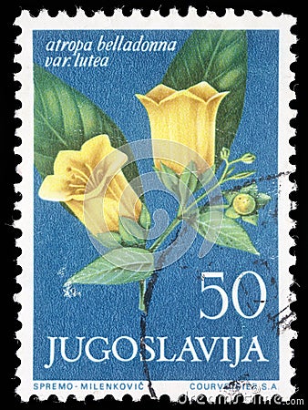 Stamp printed in Yugoslavia shows atropa belladonna Editorial Stock Photo