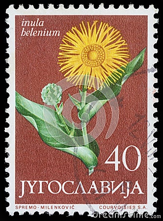 Stamp printed in Yugoslavia shows elecampane Editorial Stock Photo