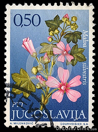 Stamp printed in Yugoslavia shows genus Malva Editorial Stock Photo