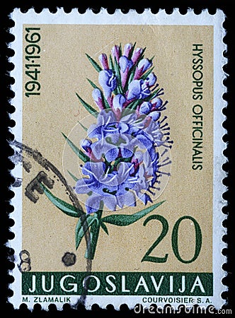 Stamp printed in Yugoslavia shows hyssop Editorial Stock Photo