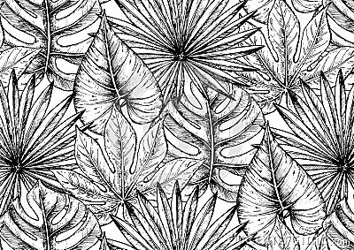 Computer-drawn illustration of various flowers Pattern Cartoon Illustration