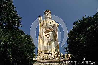 Stand Golden Buddha Statue in Taiwan Stock Photo