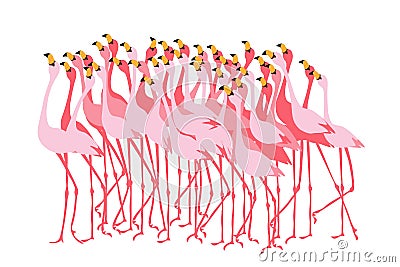 Stand of pink flamingoes. Flock of birds. Simple flat style Vector Illustration