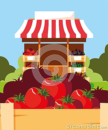 stand selling vegetable tomatoes in wooden basket Cartoon Illustration