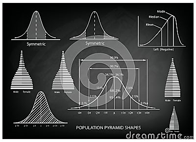 Standard Deviation Diagram with Population Pyramid Chart Vector Illustration