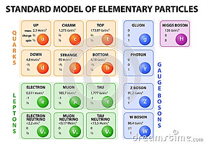 Standard model of elementary particles Vector Illustration